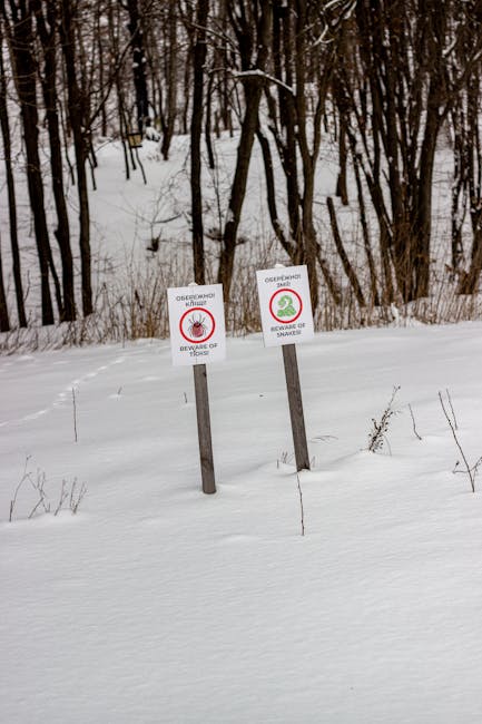 Avalanchas en los Alpes austriacos dejan cinco muertos