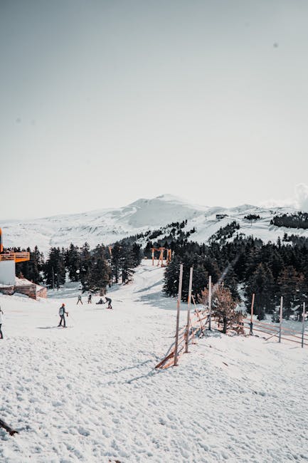 Encuentran muerto al último esquiador desaparecido en Lake Tahoe tras avalancha