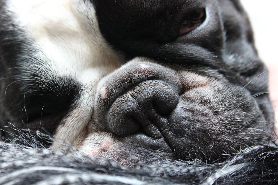 Exprofesor francés acusado de abusar de 89 adolescentes desde la década de 1960