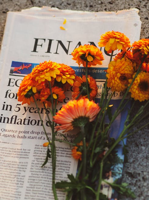 Guía para Simplificar Jerga y Traducir Tono con IA