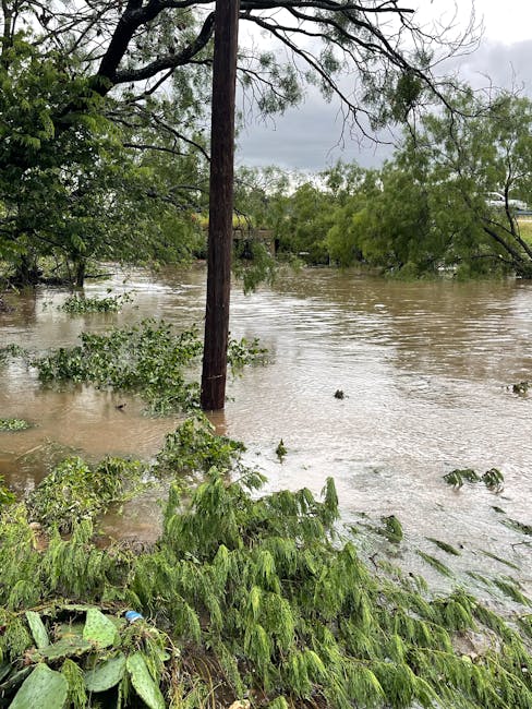 Inundaciones y deslizamientos en Brasil dejan al menos 20 muertos