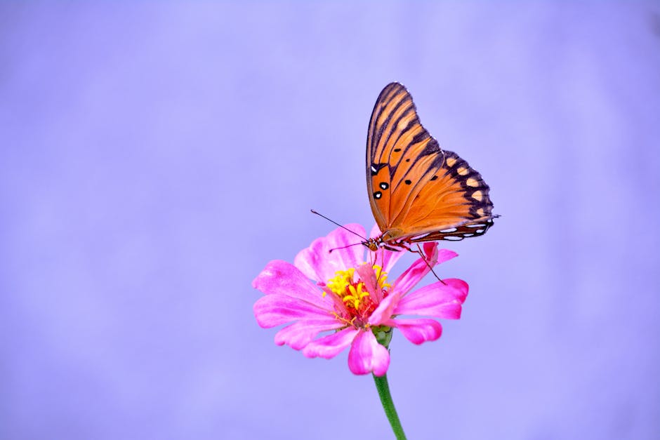 Seis posibles efectos del cambio en la política climática de Trump, según BBC US/Canada
