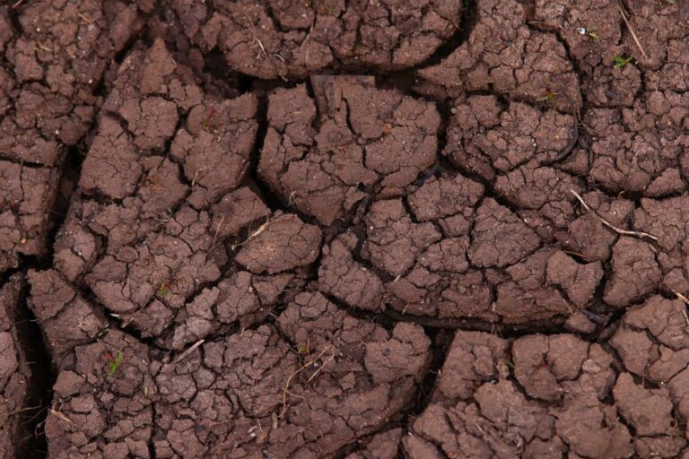 NASA descubre sistemas acuáticos en Marte primitivo